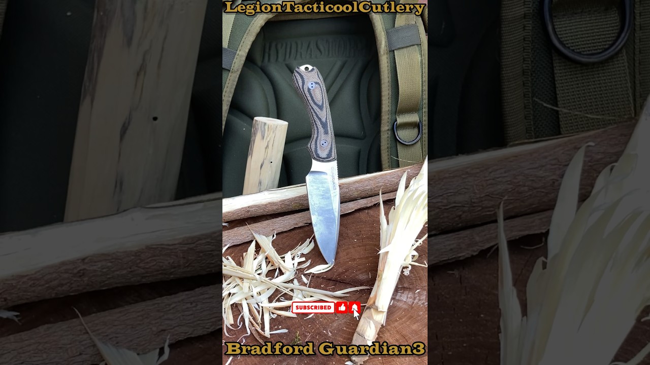 Bradford Guardian3 &mdash; это универсальное устройство!