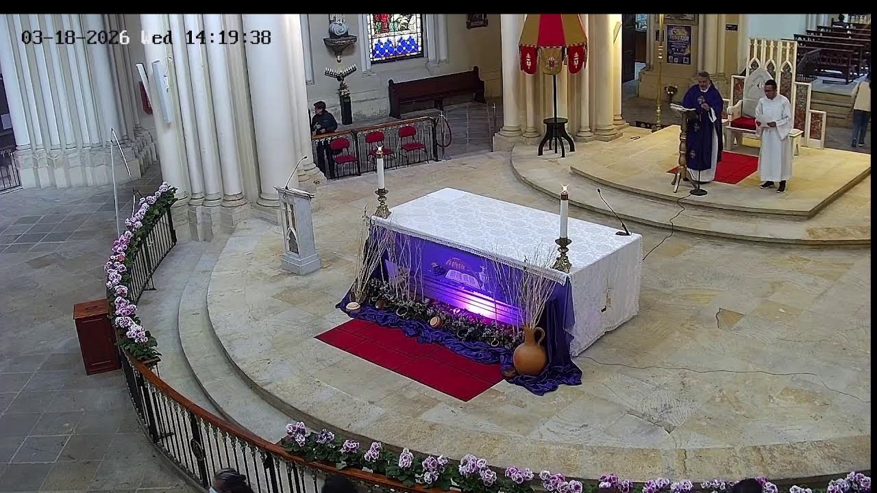 Transmisión Eucaristía Basílica de Lourdes   2026