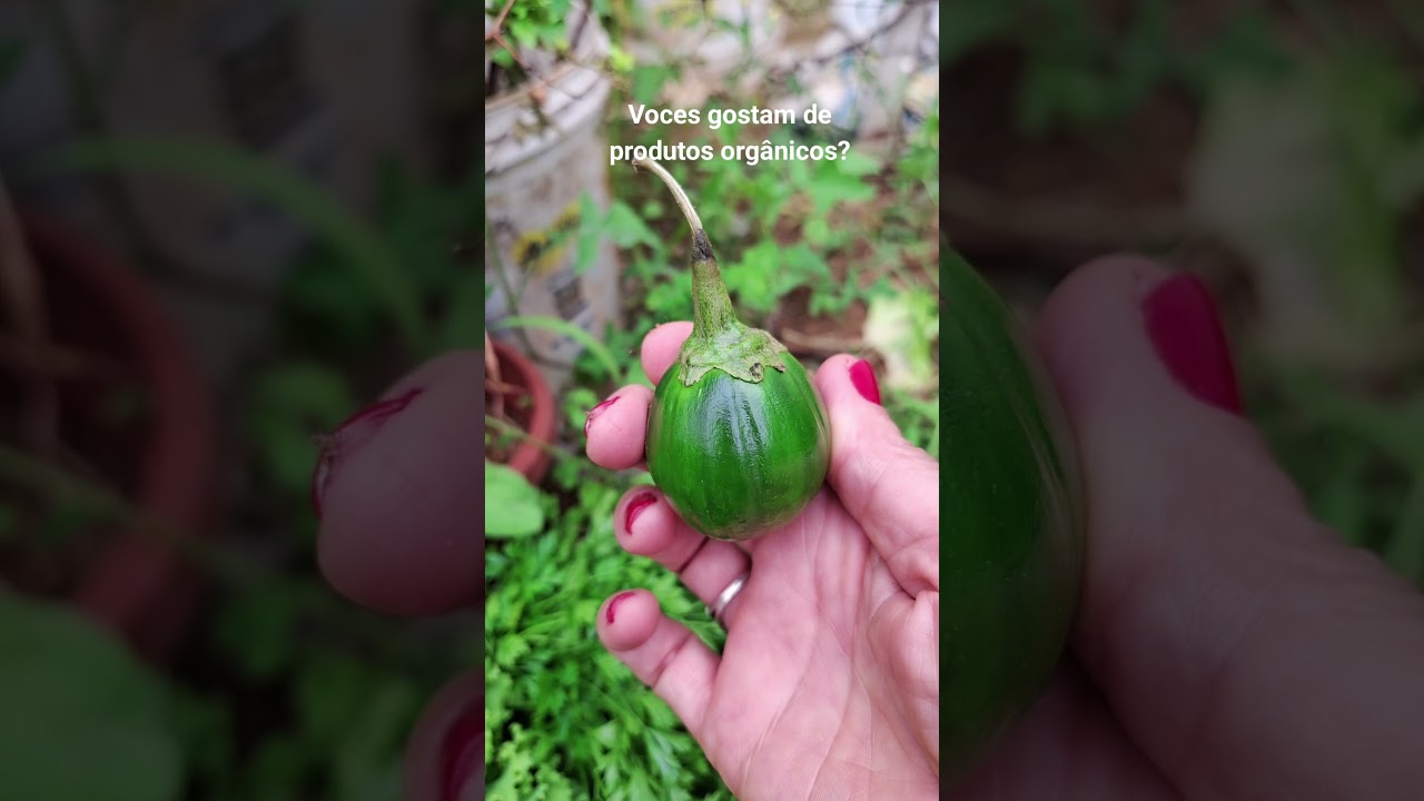 Verduras org&acirc;nicas.