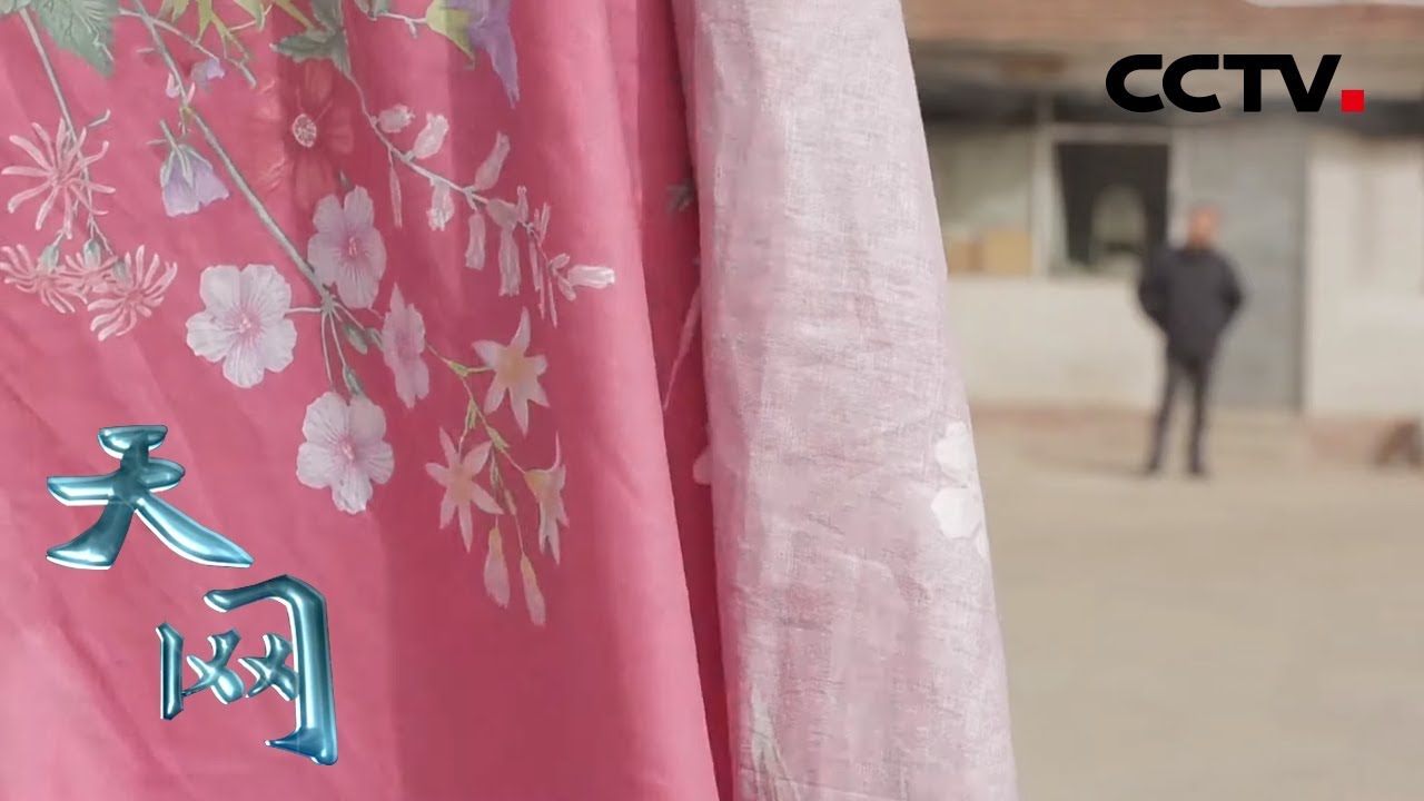 《天网》 掉落的床单：向来老实的男房客看到女房东的床单突生恶念 | CCTV社会与法