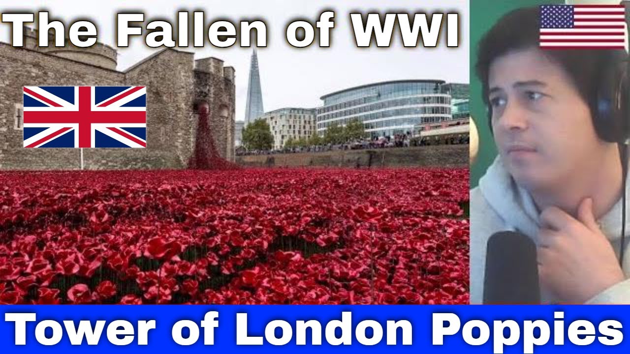 American Reacts The Tower of London Poppies