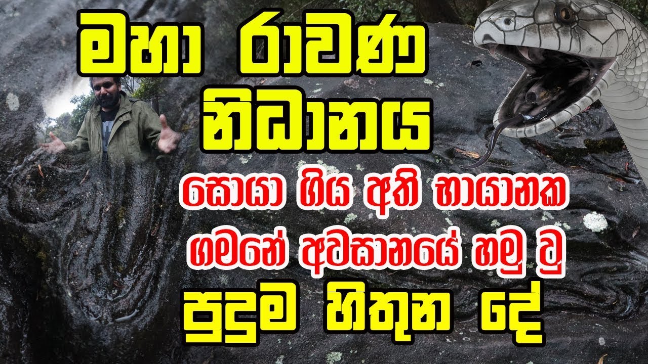 මහා රාවණ නිධානය සොයා ගිය අති භායානක ගමනේ අවසානයේ හමු වු පුදුම හිතුන දේ