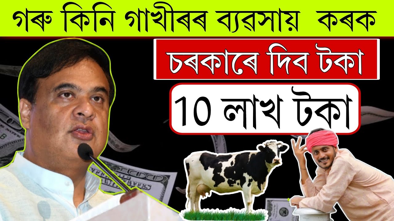 10 লাখ টকালৈ চৰকাৰে দিব || how to apply for dairy farming loan sbi bank || dairy farm business loan