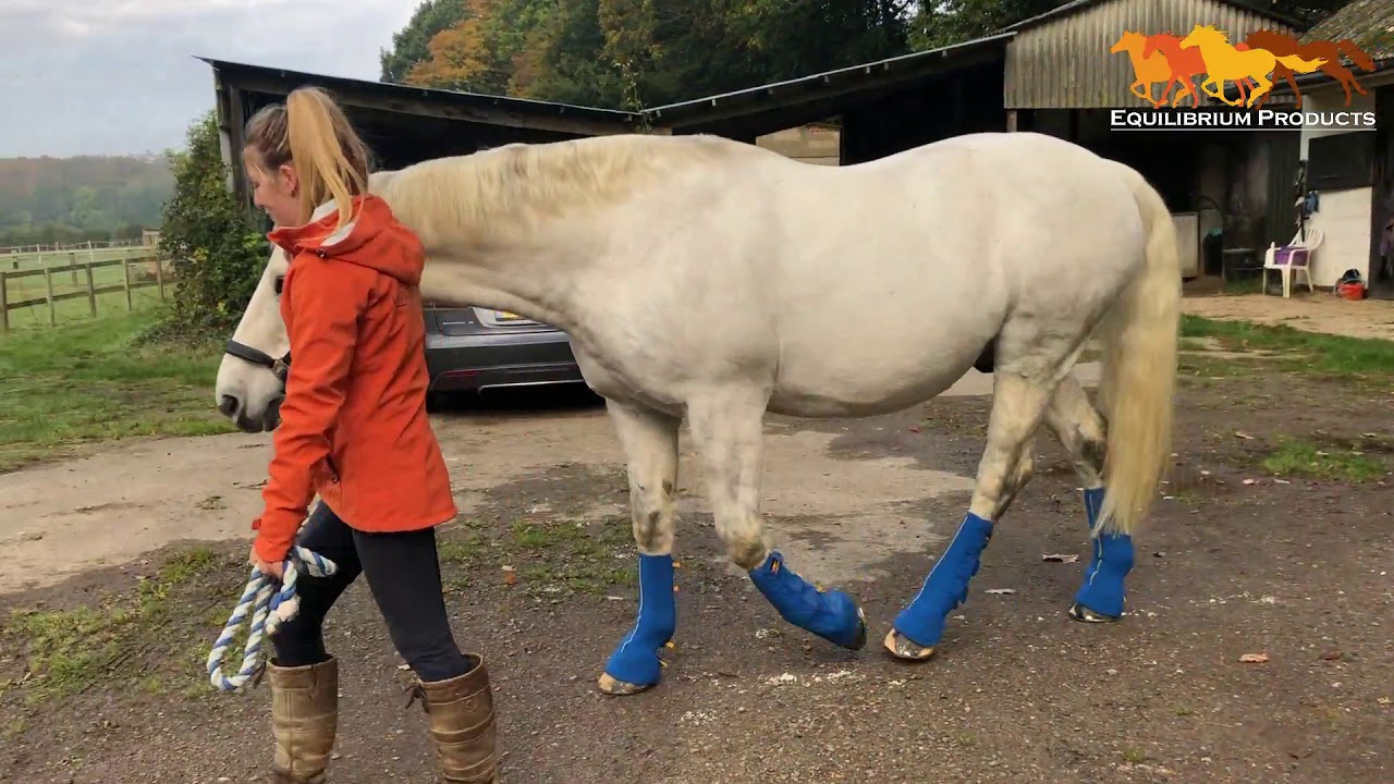 Equi-Chaps Close Contacts Chaps, New for 2019