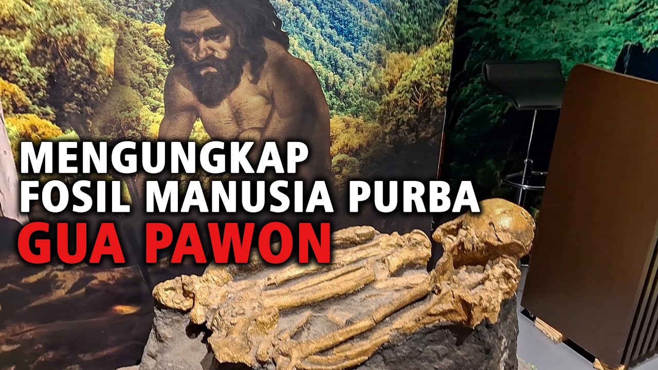 Siapakah Manusia Pawon? Sejarah Manusia Purba Penghuni Gua Pawon