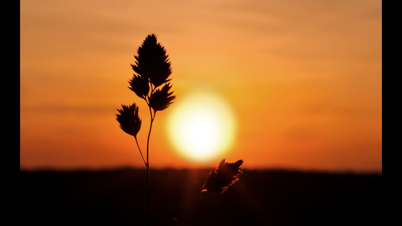 Sunset With Instrumental Raga Bhopali - ( Sitar - Santoor - Flute - Tabla ) - by roothmens