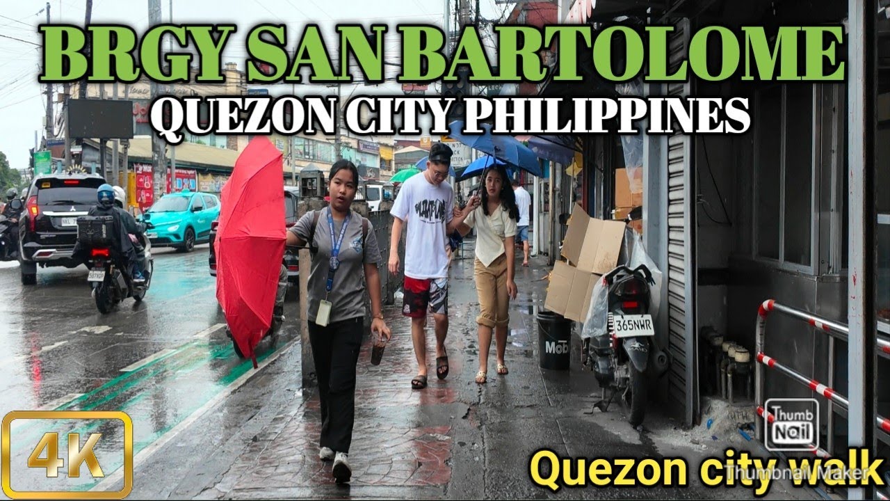 Light Rain Walk at Brgy San Bartolome Quezon City Philippines [4K]
