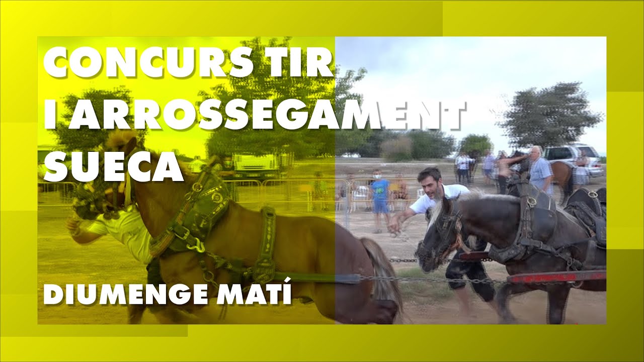 Tir i arrossegament a Sueca , 5/9/2021 matí