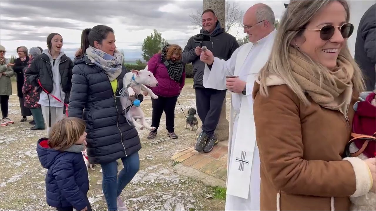 San Antón 2023 Añover de tajo Toledo