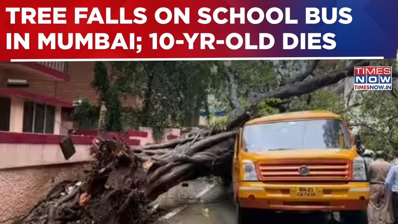 Tree Falls On School Bus In Mumbai's Chembur Amid Rainfall; 10-Yr-Old Dies, Several Students Injured