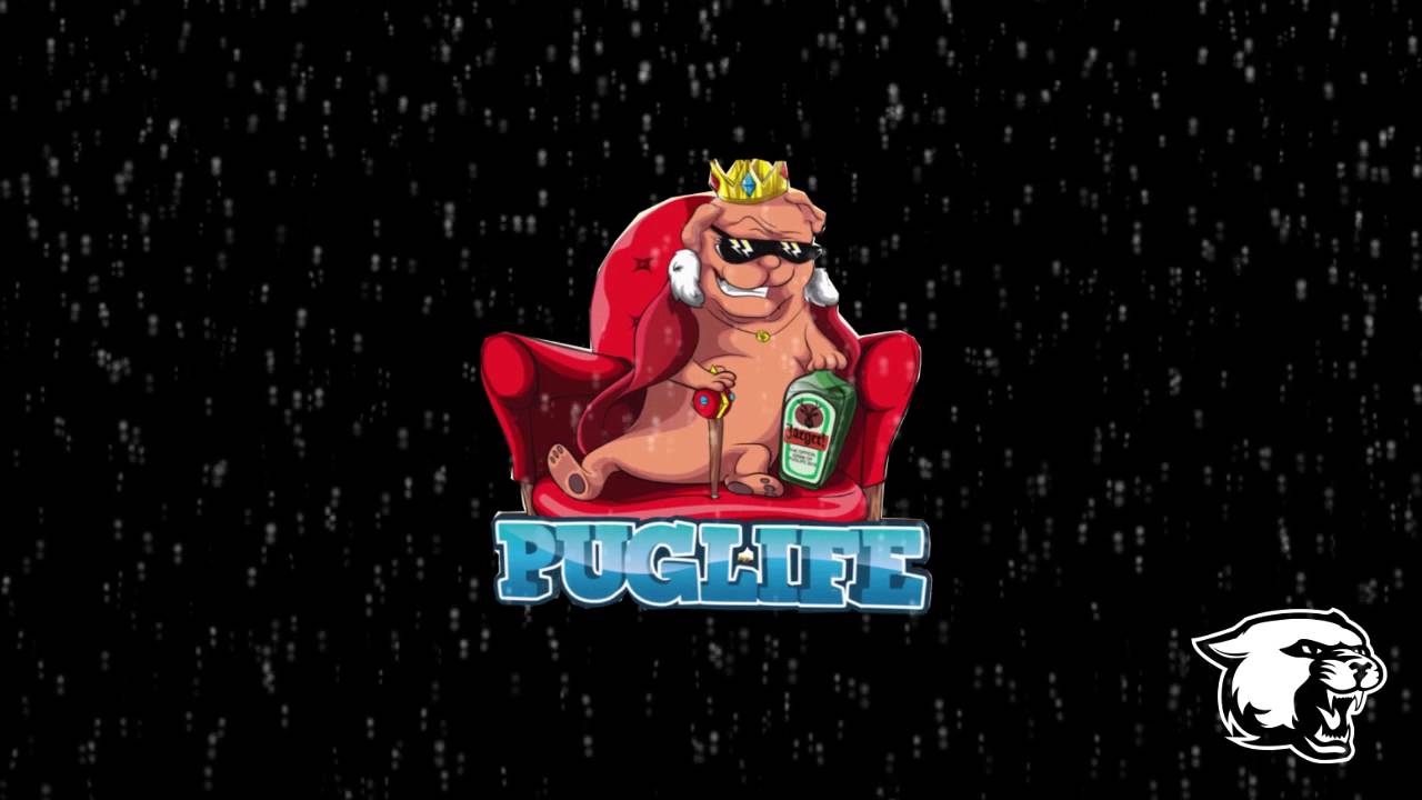 Alfons - Puglife 2016