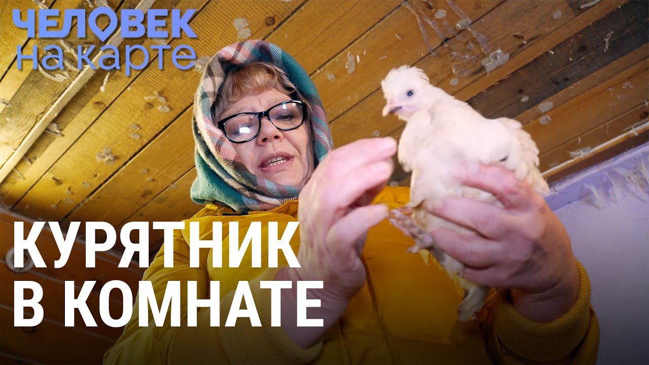 Дом с курицами | ЧЕЛОВЕК НА КАРТЕ