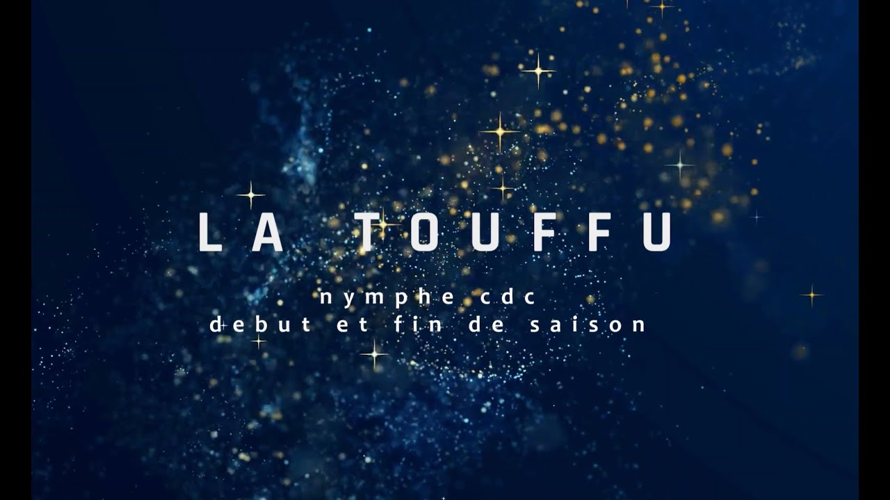 Montage nymphe la TOUFFU