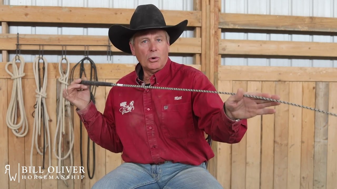 What to do with a Horse that Rears Up?  Bill Oliver Q&A on what to do when your horse rears.