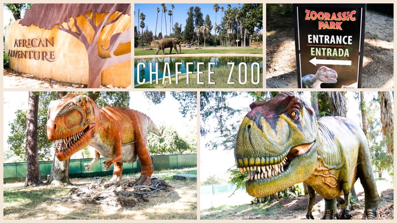 FRESNO CHAFFEE ZOO | ZOORASSIC PARK + African Adventure