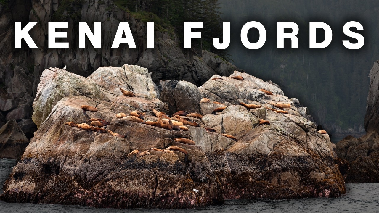 Boat Tour to Kenai Fjords National Park | A MUST DO Tour in Seward, Alaska