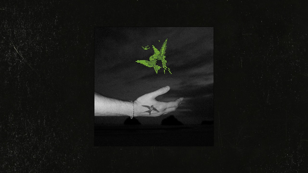 BSEARL - NOT ALONE