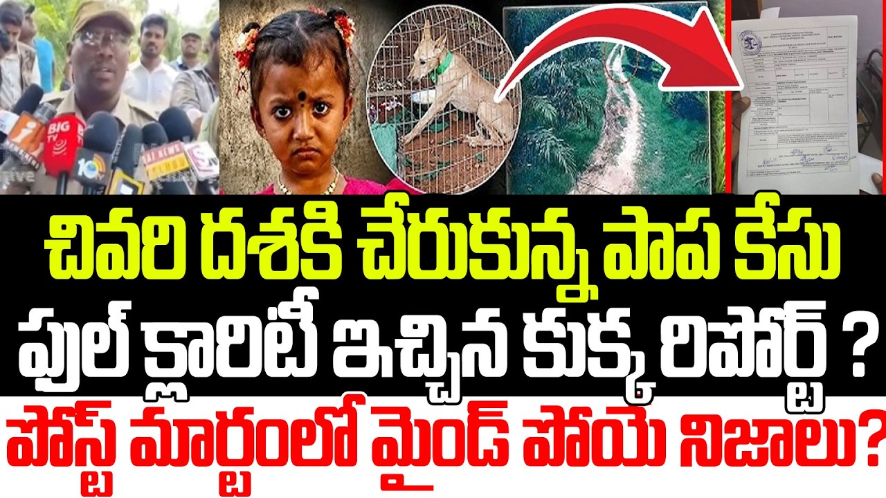 సినిమాని మించిన సూపర్ ట్విస్ట్!!Tuni Girl Missing Case Latest Update | YSRCP | Praja Sankalpam