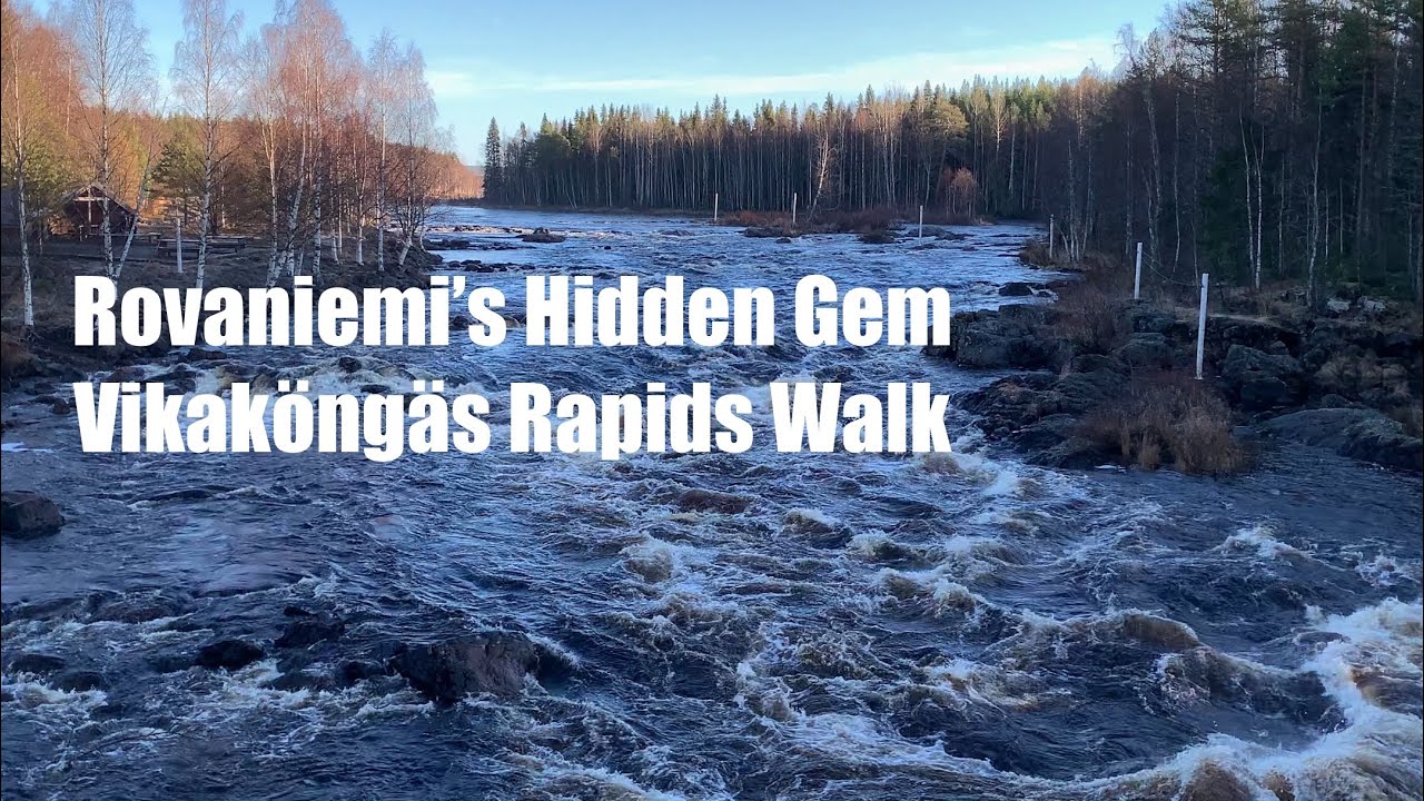 Scenic Walk Along Vikaköngäs Rapids | Relaxing Nature Trail in Rovaniemi Finland