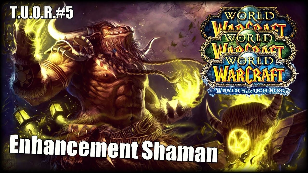 The Underdogs Of Raiding #5 - Enhancement Shaman