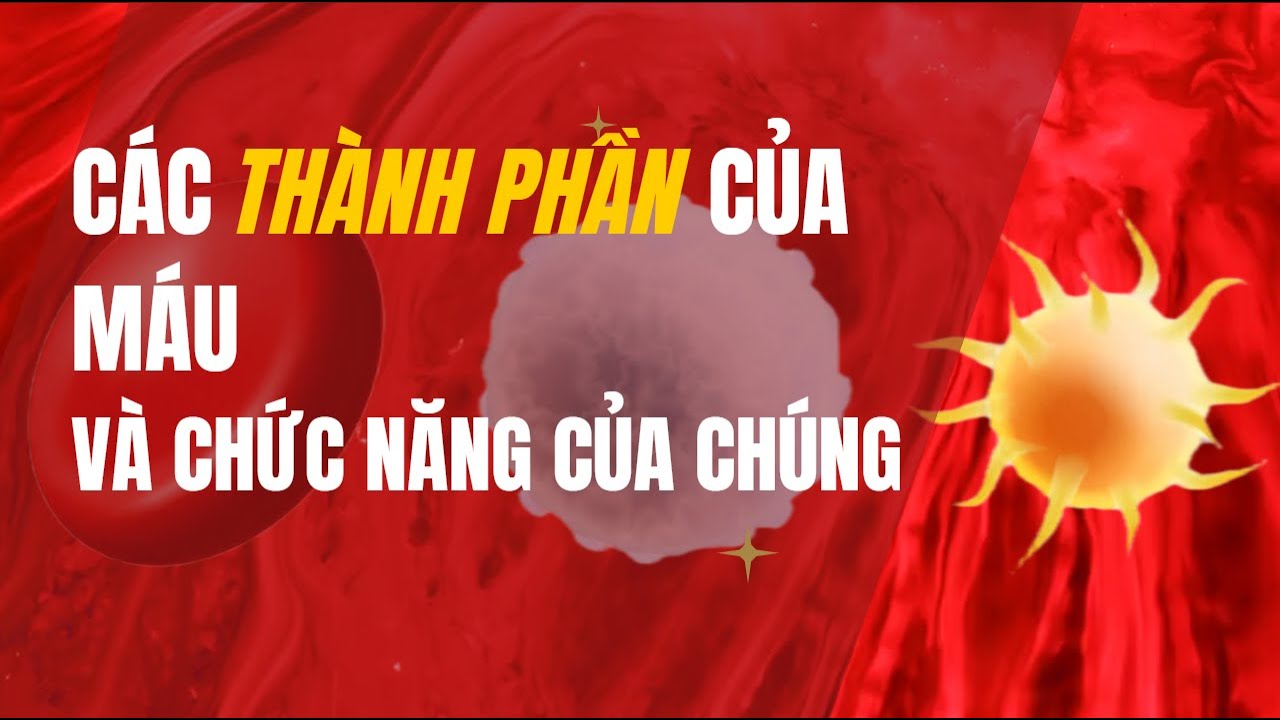 Tất cả c&aacute;c th&agrave;nh phần của m&aacute;u trong 8 ph&uacute;t | BiologyZ