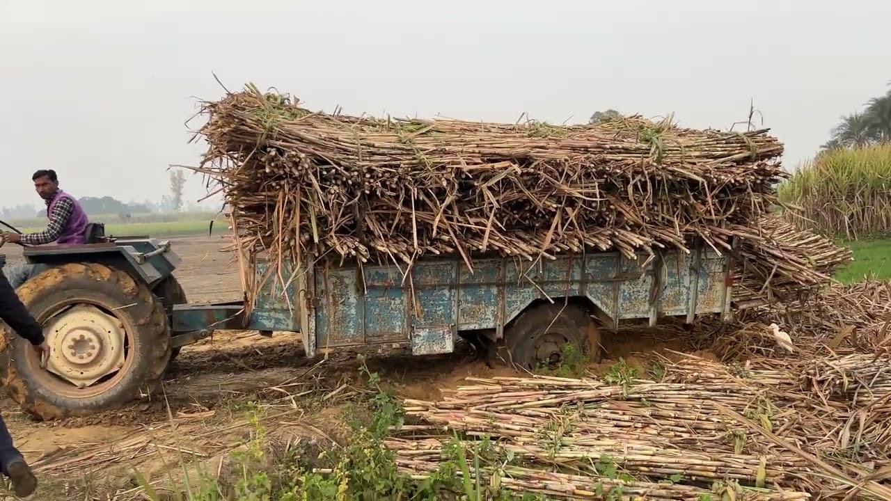 Tractor trolly tochan trolly fass gyi 3-3 tractor se nikala gya #sugarcane #swaraj735 #swaraj744 