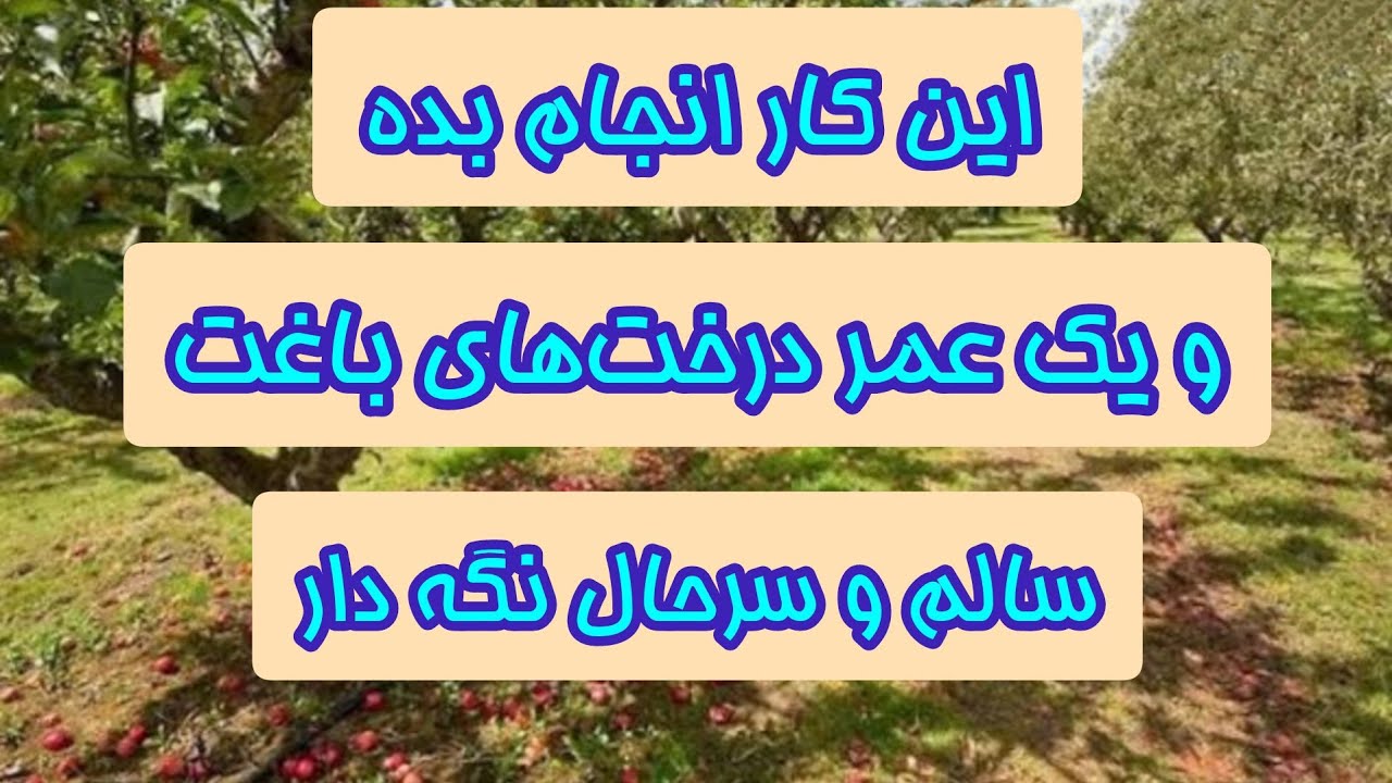 با انجام این کارها تمام درخت‌های باغت بیمه سلامتی می‌کنی ، حتماً تا آخر ببینید 