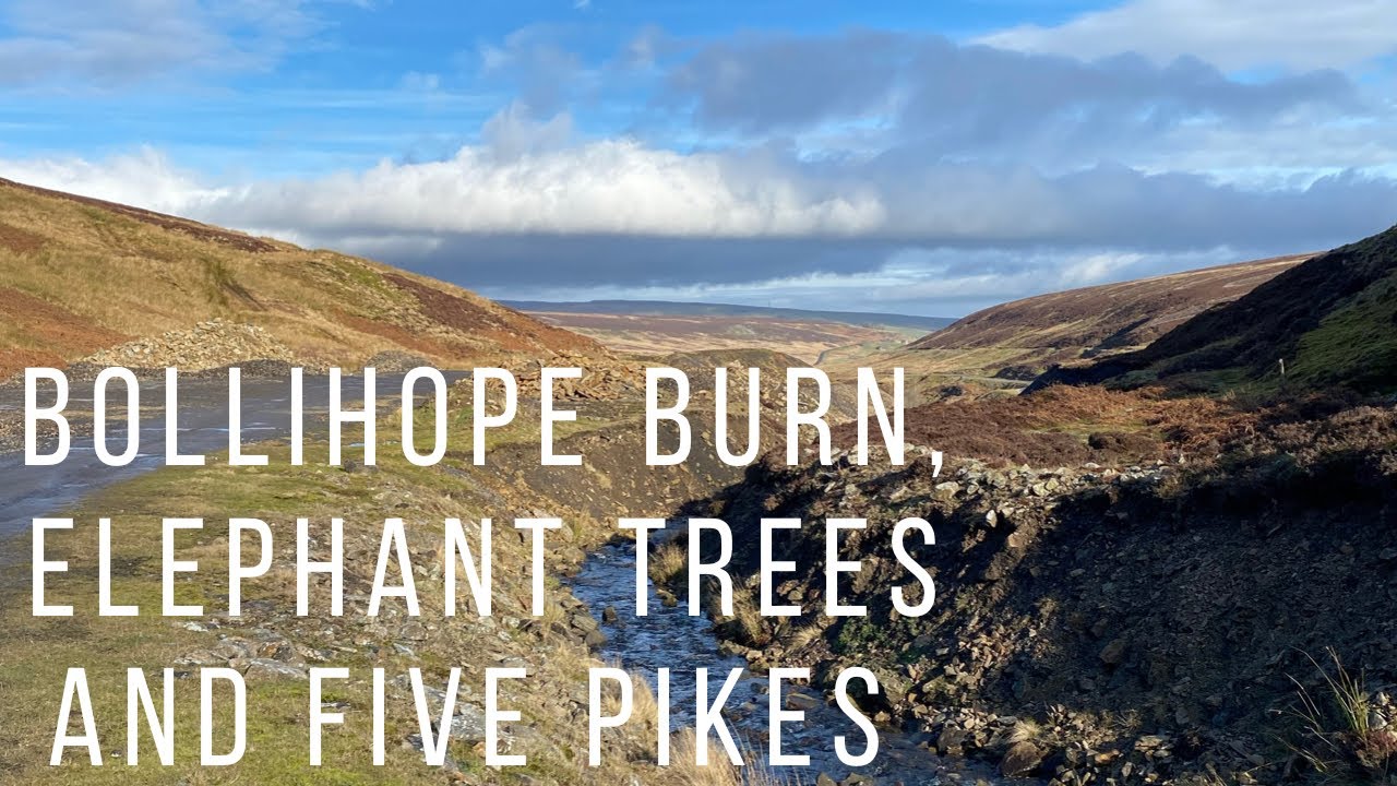 Bollihope Burn, Elephant Trees & Five Pikes
