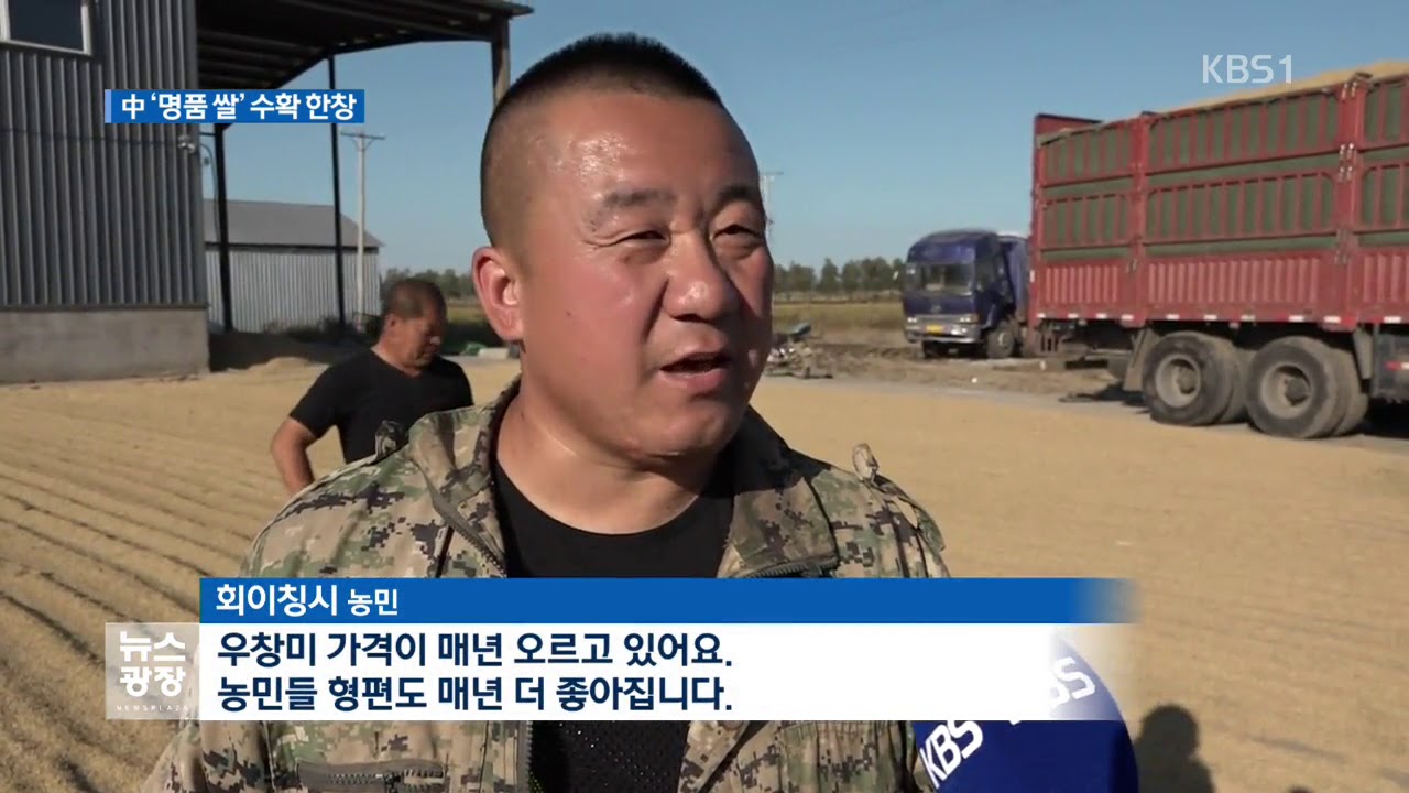 천하일미 &lsquo;우창미&rsquo; 수확현장을 가다