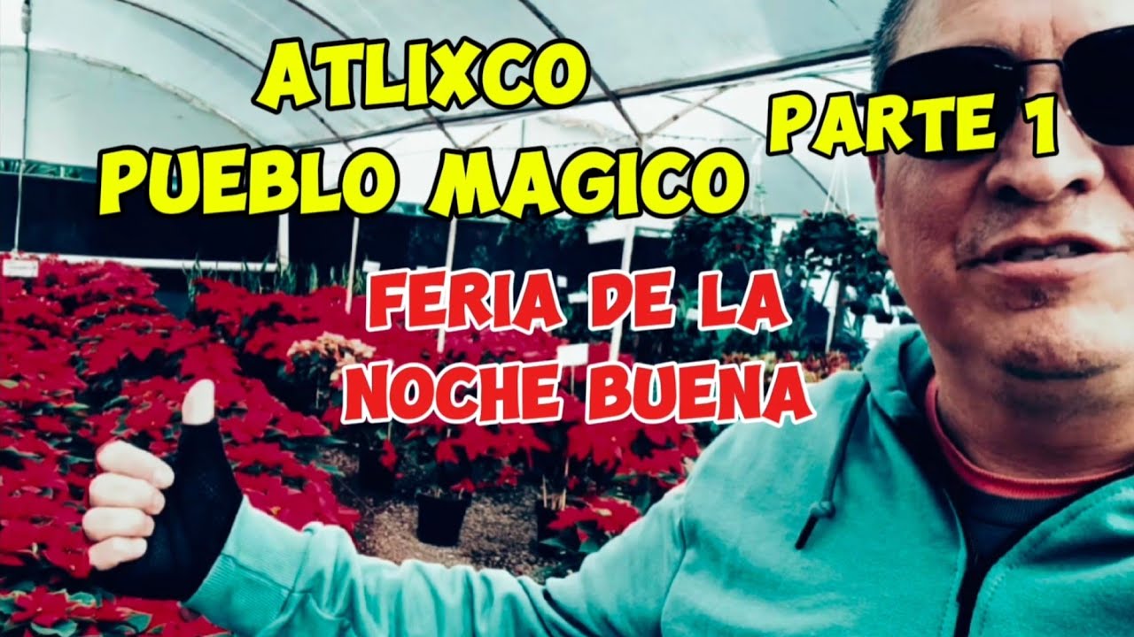 Atlixco Pueblo Mágico ( parte 1 feria de la noche buena)  #viajes #over50