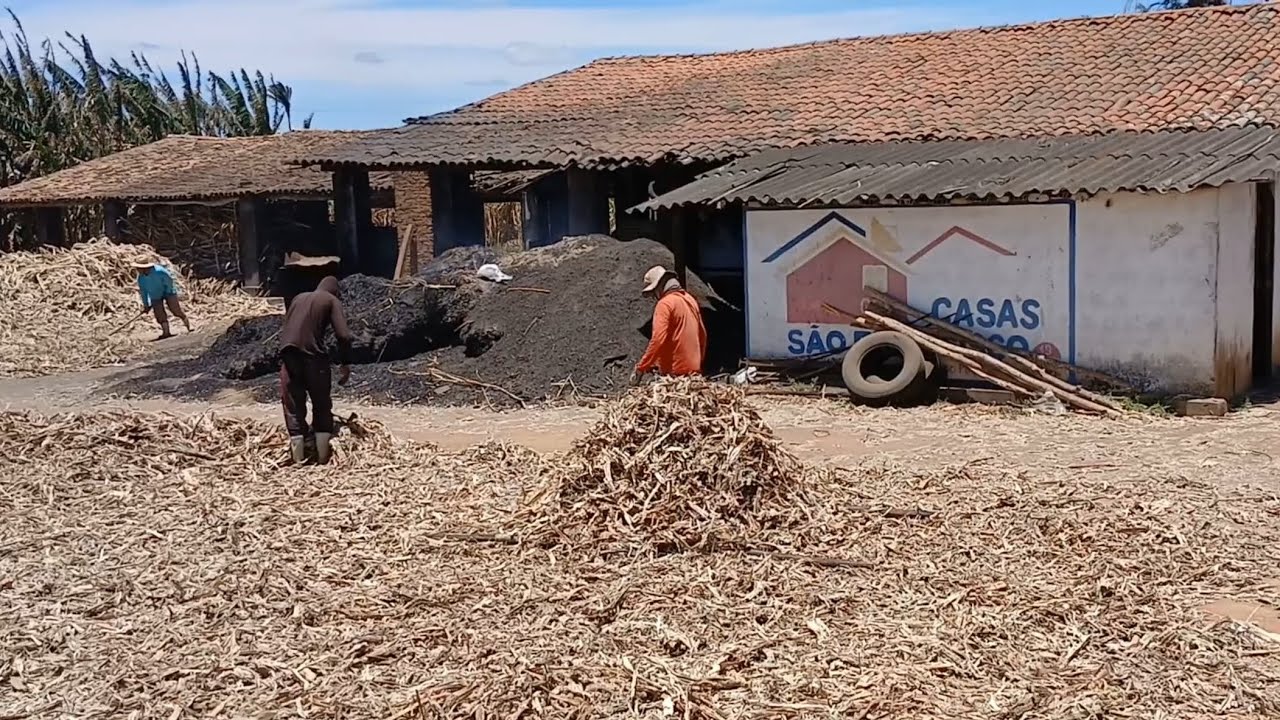 ENGENHO E FÁBRICA DE RAPADURA EM SÃO BENEDITO CEARÁ NA SERRA DA IBIAPABA, COMO SE FAZ RAPADURA.