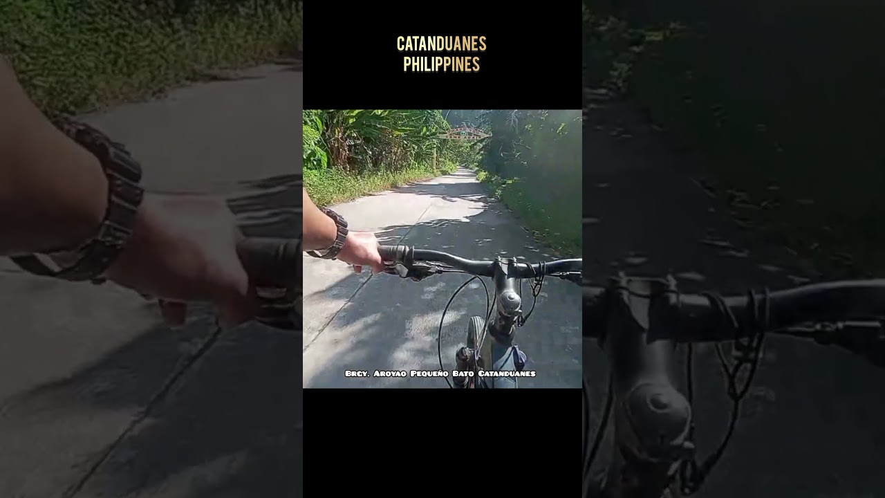 Cycling in the Forest - Catanduanes Island was 80% Forest #catanduanes #philippines #cycling