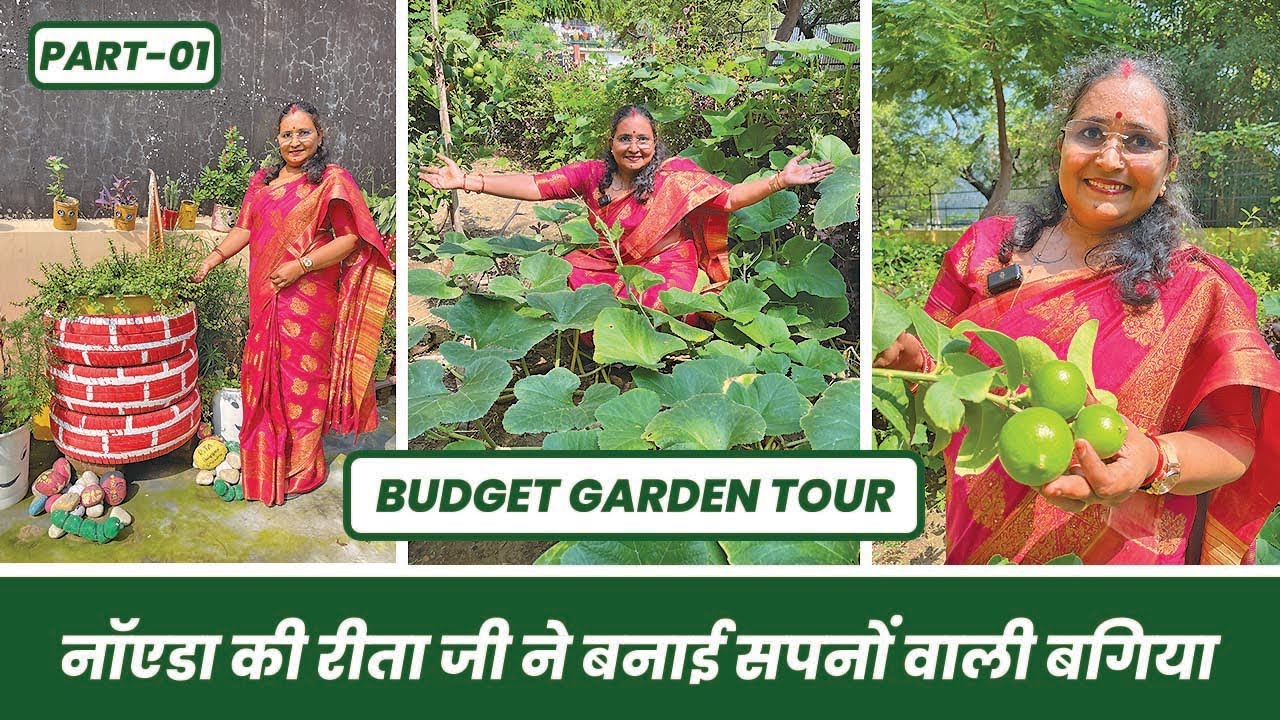 नॉएडा की रीता जी ने अपनी बगिया के सपने को किया साकार 😴 😱 Dream Garden Come True 🪴Noida Garden Tour 🥰