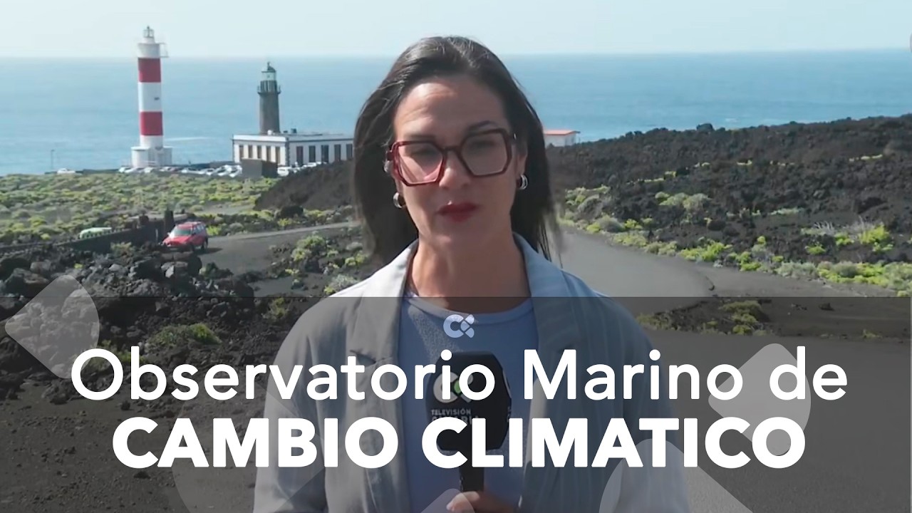 Comienza a trabajar el Observatorio Marino de Cambio Climático, en La Palma