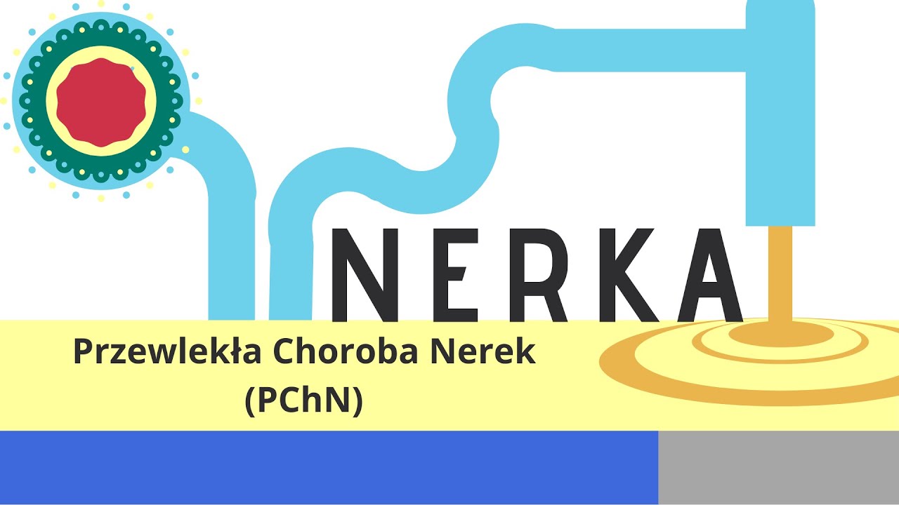 Nerka: Przewlekła Choroba Nerek