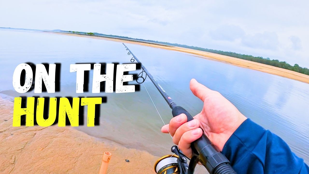 Can You Catch Land-Based Barra From This Creek in Mackay?