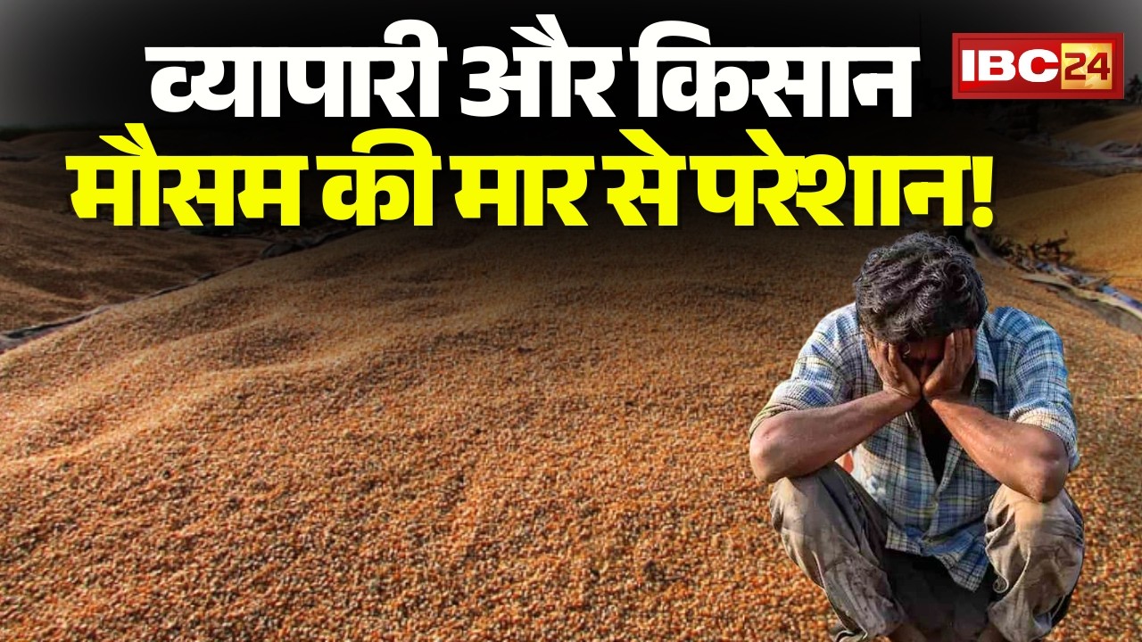 Indore Farmers News: व्यापारी और किसान मौसम की मार से परेशान | 3 दिनों से हो रही बारिश से अनाज भींगा