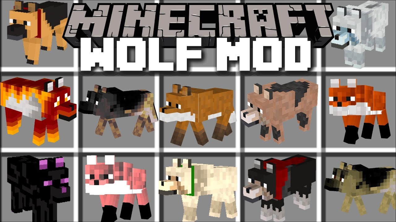 Minecraft WOLF MOD / FIGHT AND BREED HUNDREDS OF WOLVES!! Minecraft