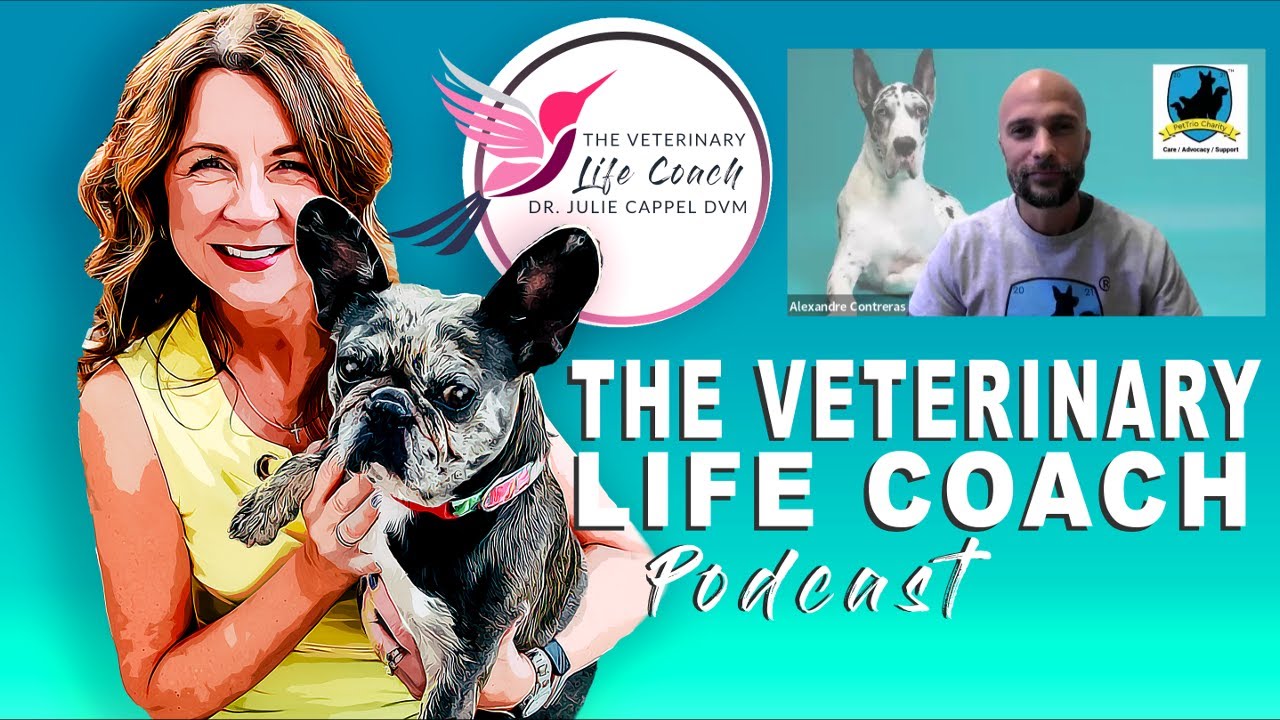 Veterinary Life Coach Podcast Episode 354 | Think Big & Move Towards Your Dreams-Alexandre Contreras
