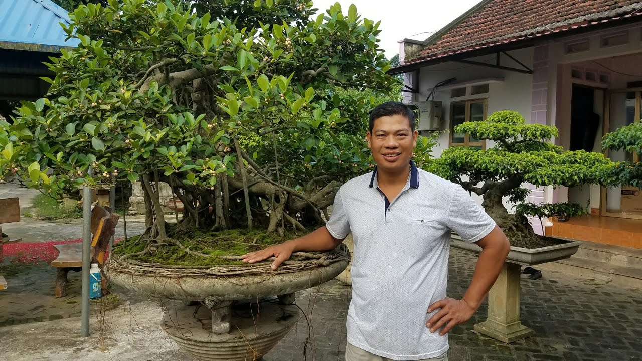 SH.293.Tới thăm vườn cây cảnh 