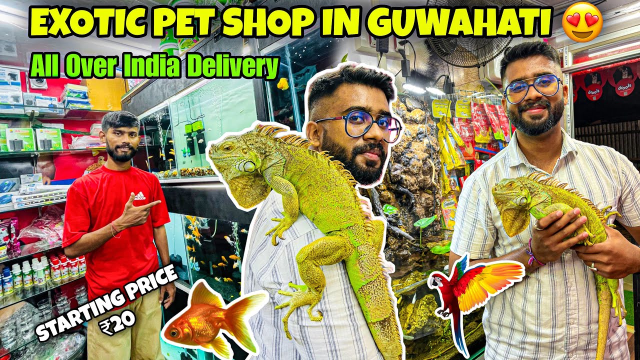 Exotic Pet Shop in Guwahati 😍Starting Price 20 Only😱