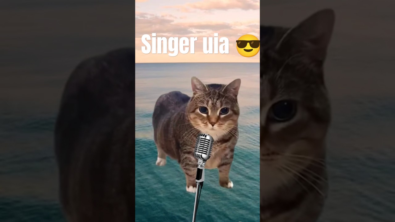 Singer uia 😎 #cat #funny #chill #videogamememes #sadchill #artandcraft #chillvibes #roblox #chilling