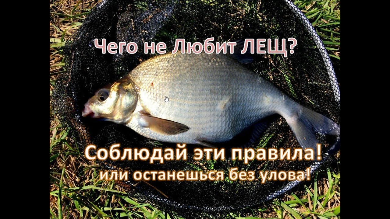 ЧЕГО не ЛЮБИТ ЛЕЩ? ( соблюдайте Эти Правила!!!)