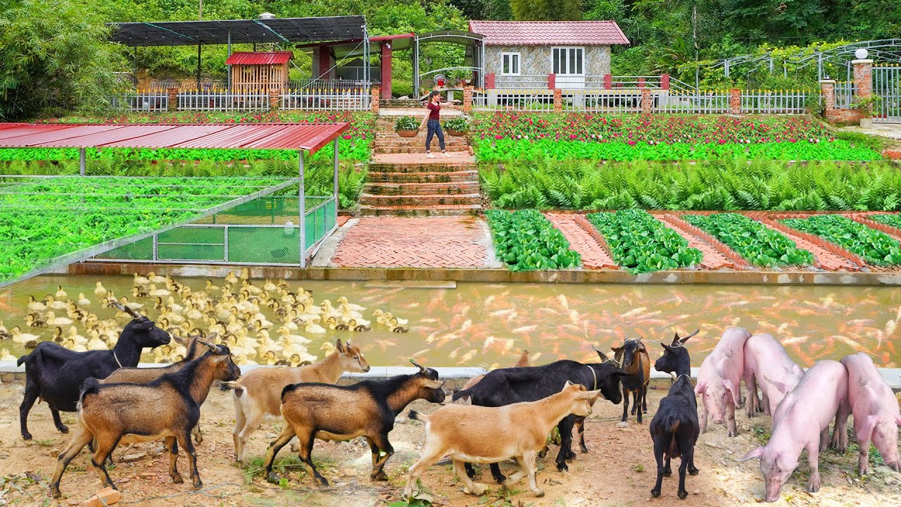 Full Video: 55 Days Build Many Poultry And Livestock Pens Next To The Pond - Grow Vegetable