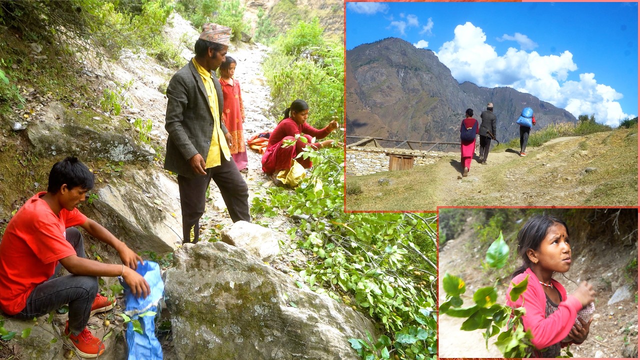 dharme brother's family working together in the village || rural Nepal || life in rural Nepal ||