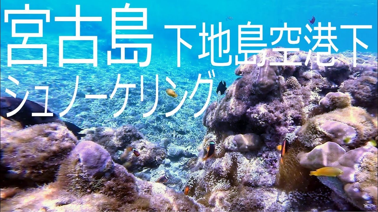 宮古島シュノーケリング【下地島 空港下】