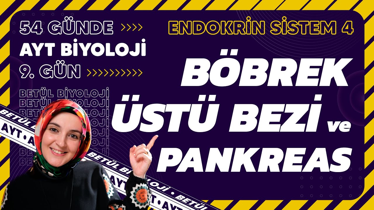 9) Böbrek Üstü Bezi - Pankreas | Endokrin Sistem | 11. Sınıf Biyoloji | AYT Biyoloji Kampı 9. Gün