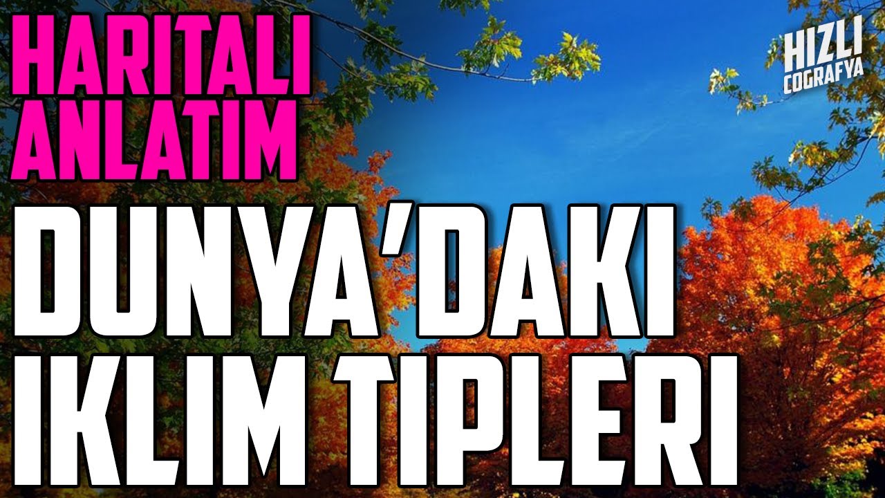 D&Uuml;NYA'DAKİ İKLİM TİPLERİ - HARİTALI ANLATIM | TYT HIZLI COĞRAFYA