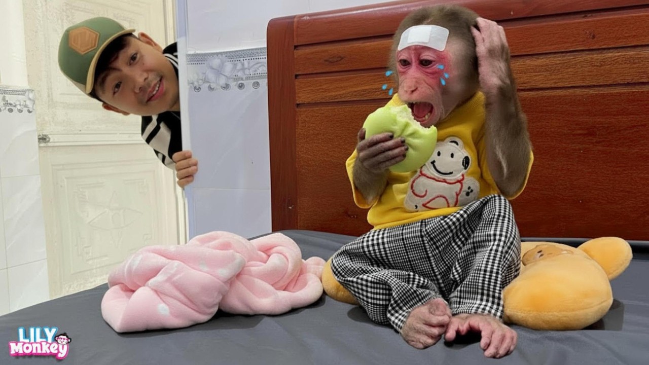 Lily acts sick so she doesn't have to go to school!  | Lily's story