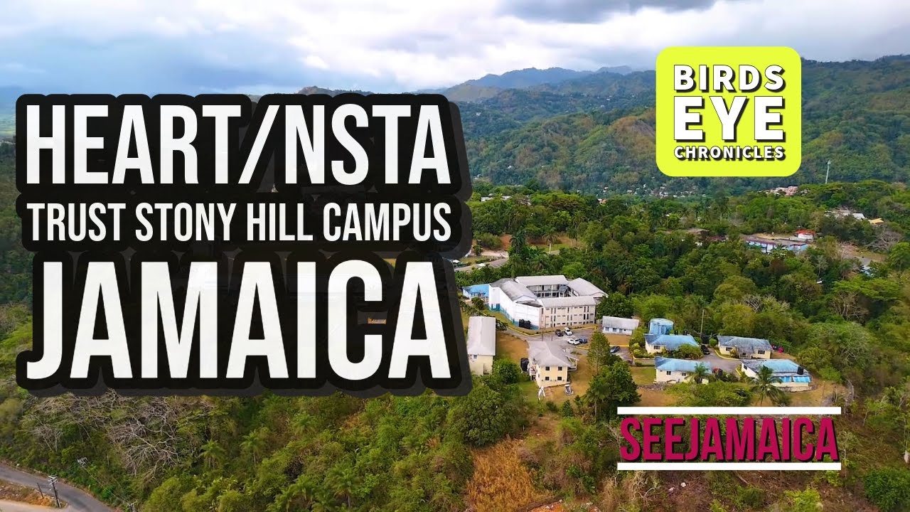 Stony Hill Heart Academy St Andrew Jamaica